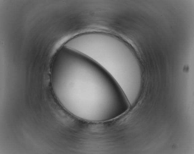 X0000093251363200709261548