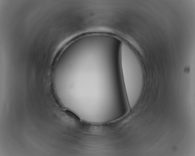 X0000093251364200709261547