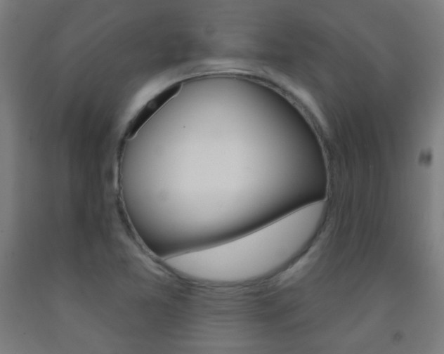 X0000093251365200709261547