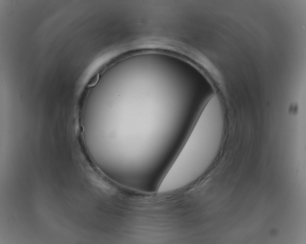 X0000093251368200709261547
