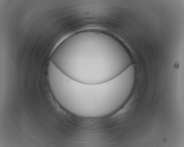 X0000093251369200709261547