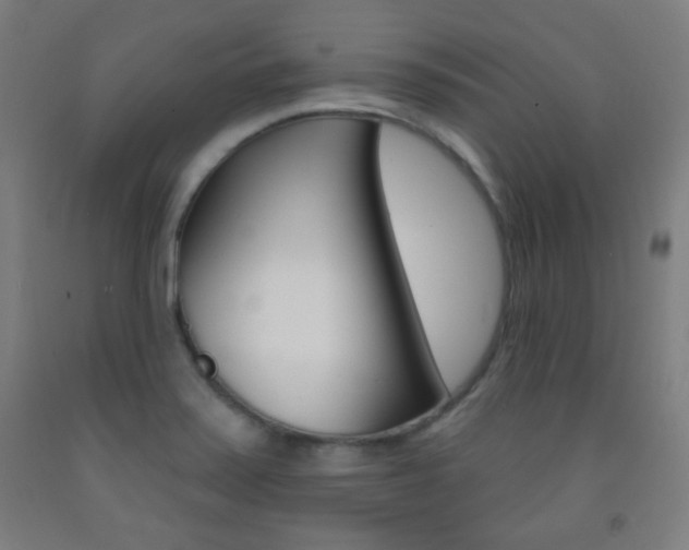 X0000093251371200709261547