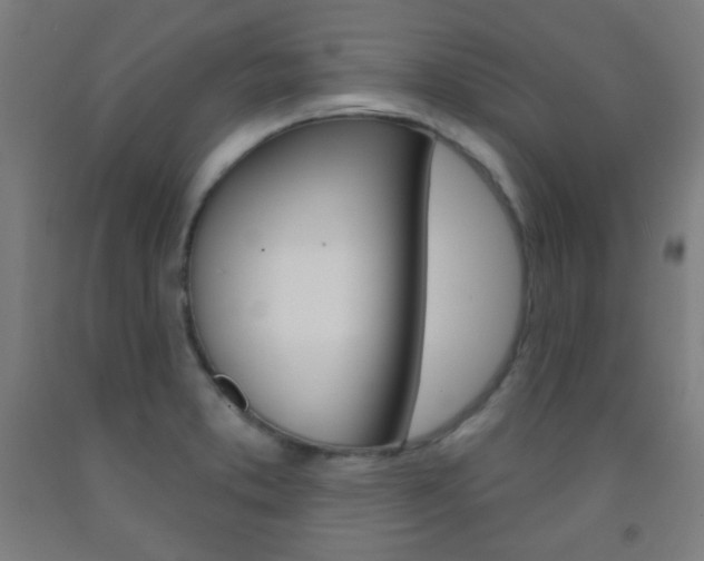 X0000093251373200709261547