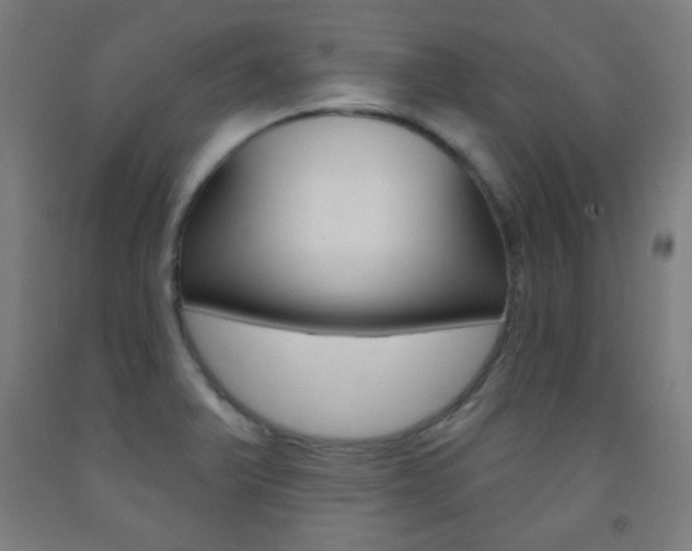 X0000093251375200709261547