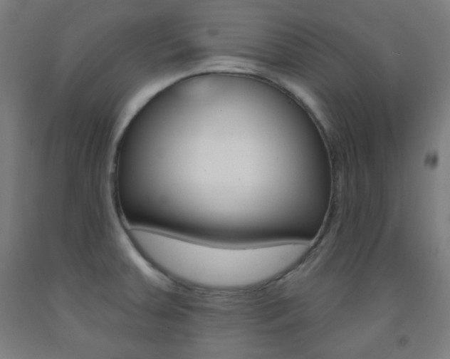 X0000093251379200709261547