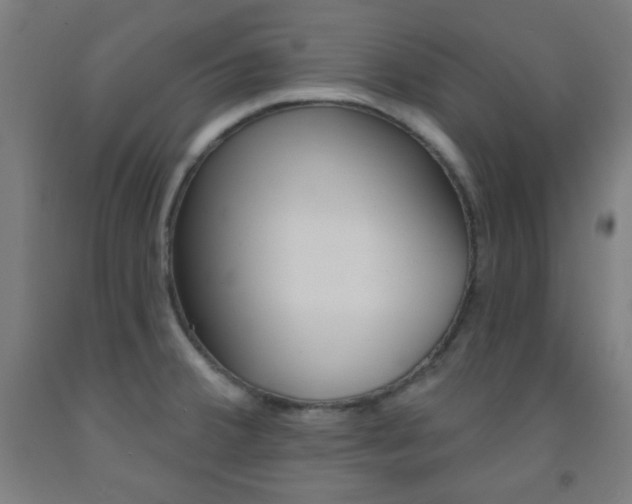 X0000093251380200709261547