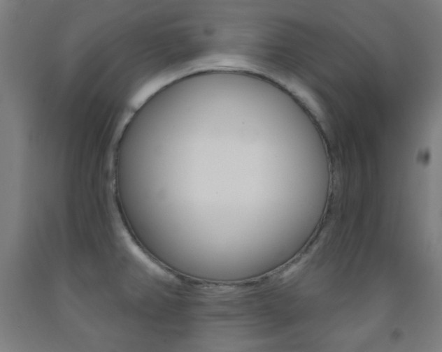 X0000093251382200709261547