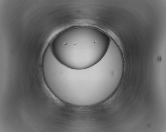 X0000093251384200709261547