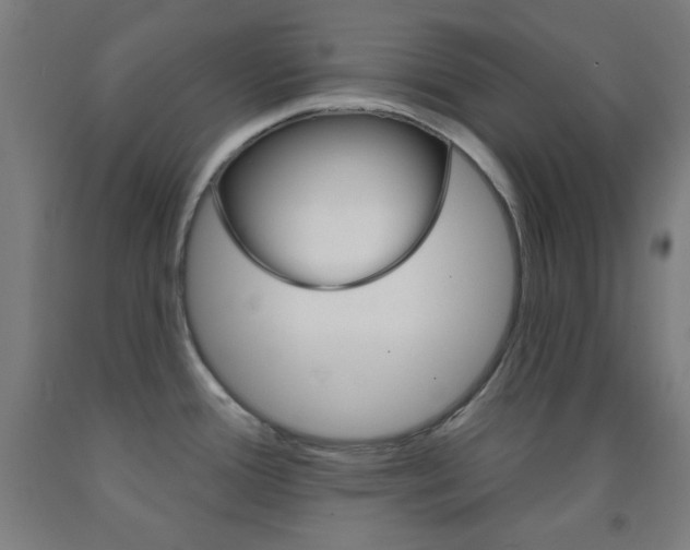 X0000093251388200709261547