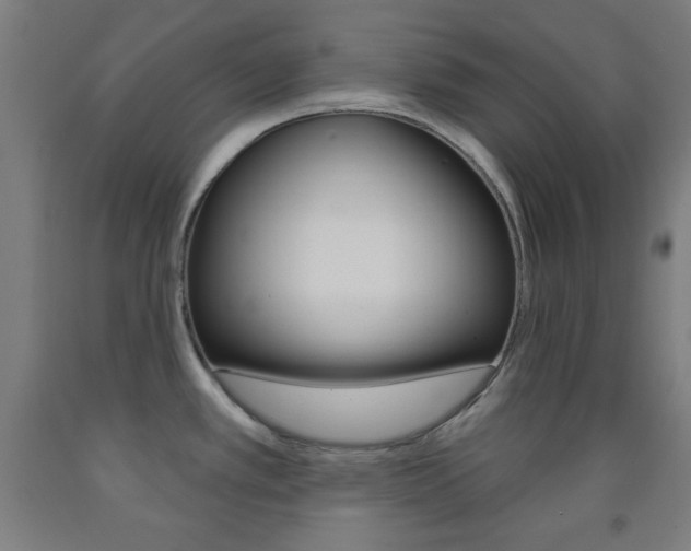 X0000093251389200709261547