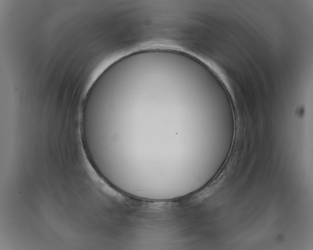 X0000093251390200709261547