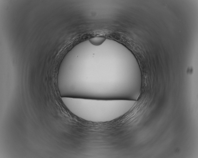 X0000093251393200709261546