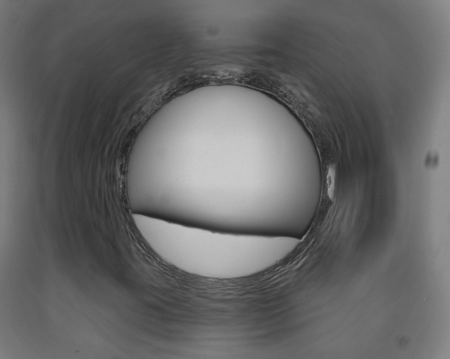 X0000093251395200709261546