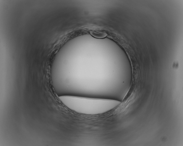 X0000093251397200709261546