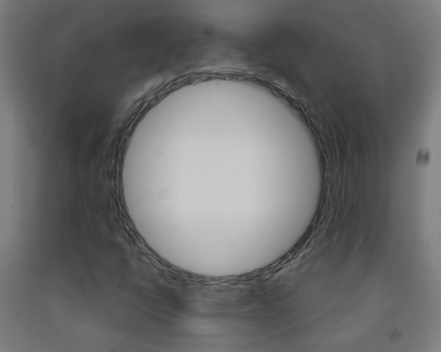 X0000093251398200709261546
