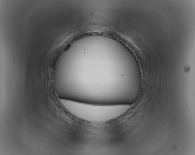 X0000093251399200709261546