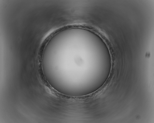 X0000093251400200709261546