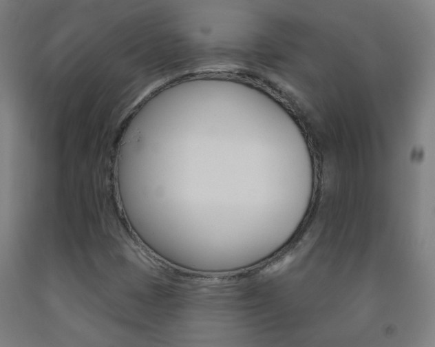 X0000093251401200709261546