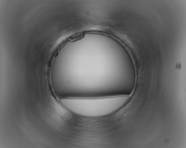X0000093251404200709261547