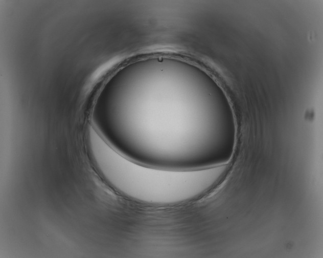 X0000093251406200709261547