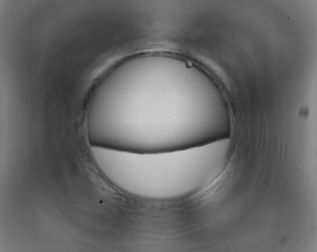 X0000093251407200709261547