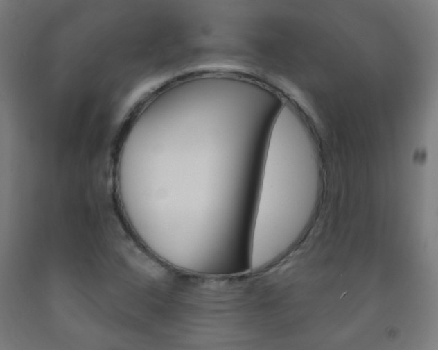 X0000093251408200709261547