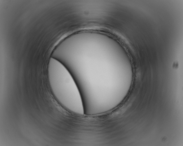 X0000093251409200709261547