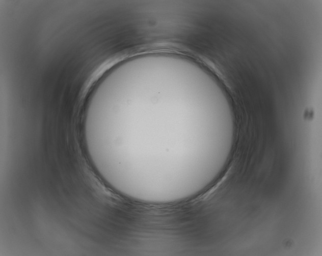 X0000093251410200709261547