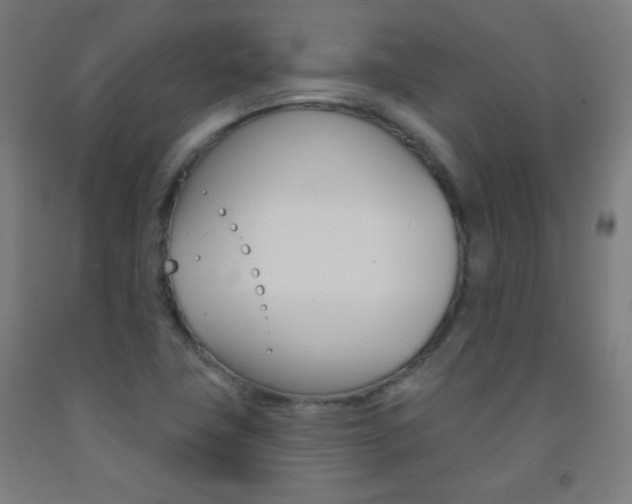 X0000093251411200709261547