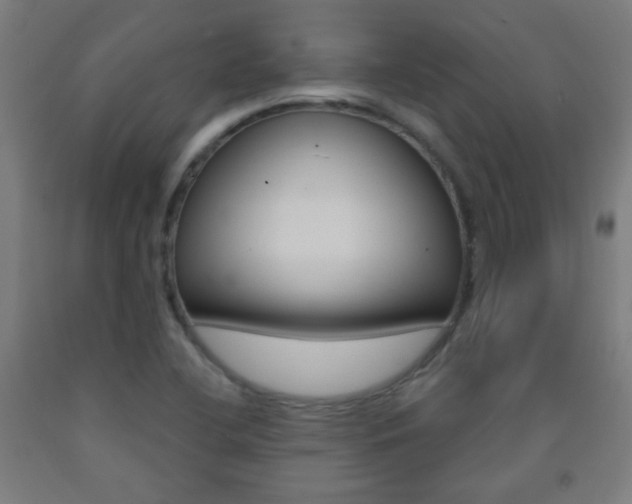 X0000093251412200709261547