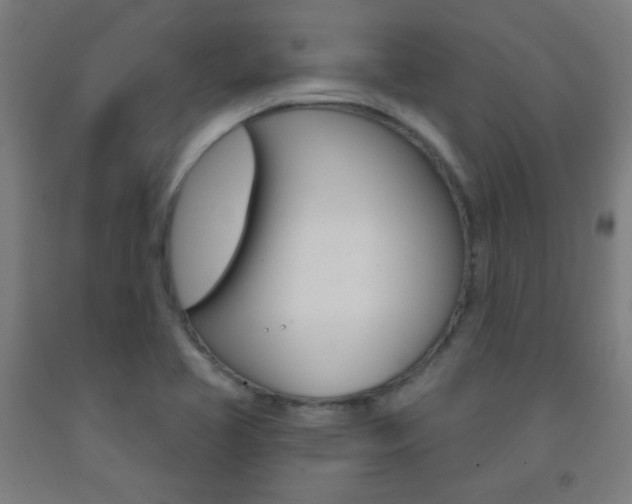 X0000093251413200709261547