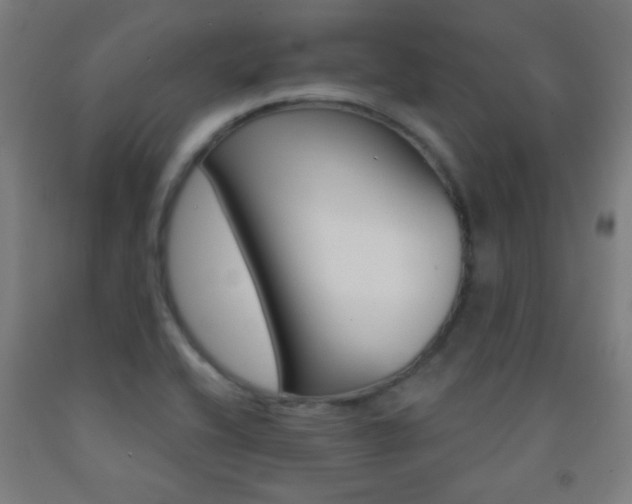 X0000093251416200709261547