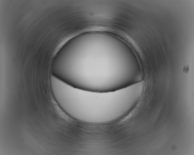 X0000093251417200709261547