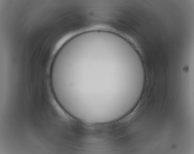 X0000093251422200709261547