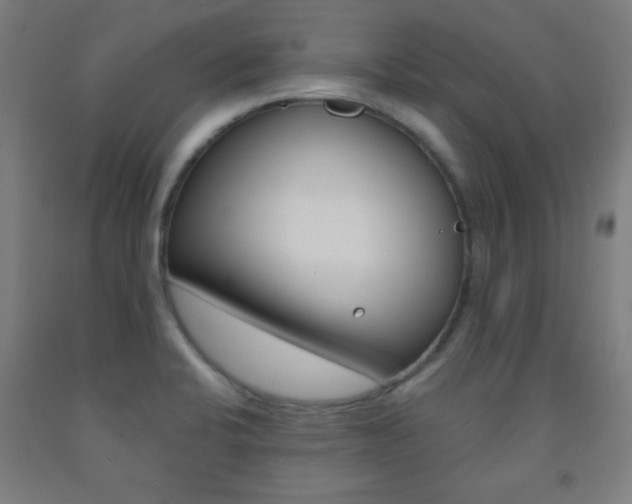 X0000093251424200709261547