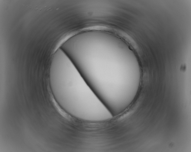 X0000093251425200709261547