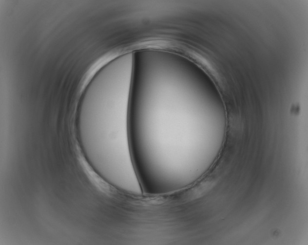X0000093251426200709261547