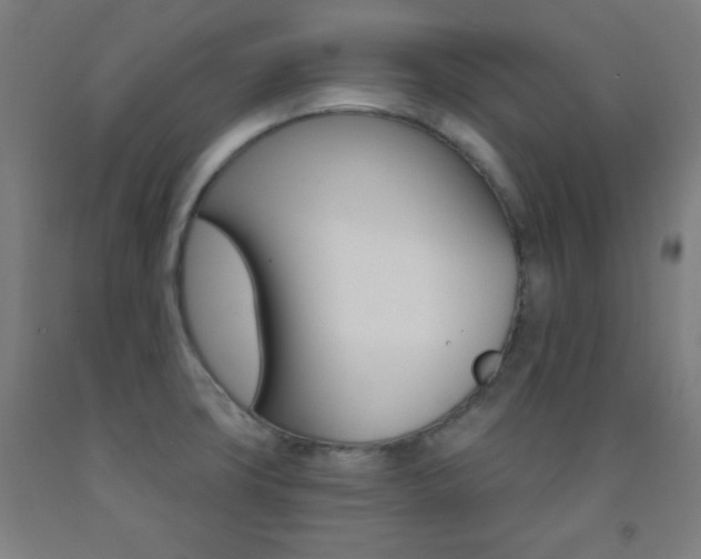 X0000093251427200709261547