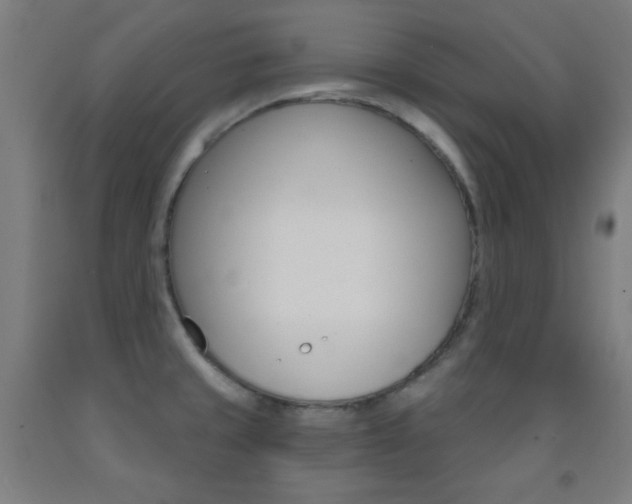 X0000093251429200709261547