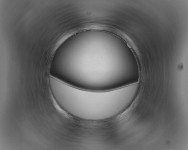 X0000093251433200709261547