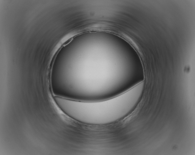X0000093251434200709261547