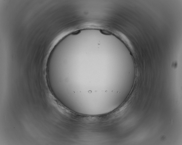 X0000093251435200709261547