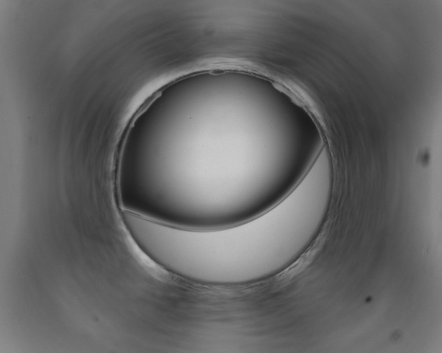 X0000093251438200709261547