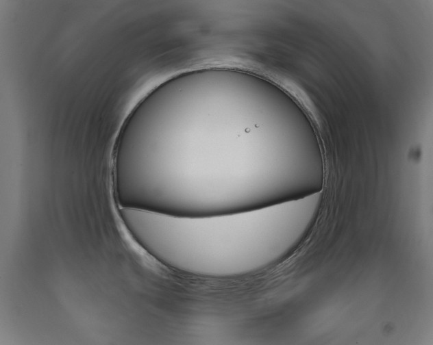 X0000093251439200709261547