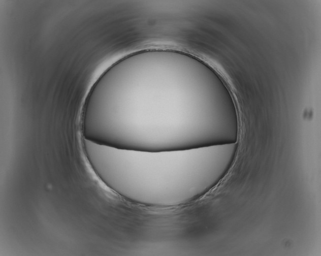 X0000093251440200709261547