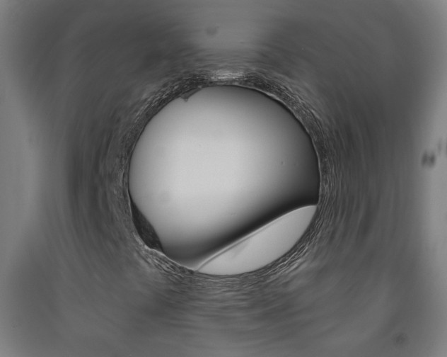 X0000093251441200709261546