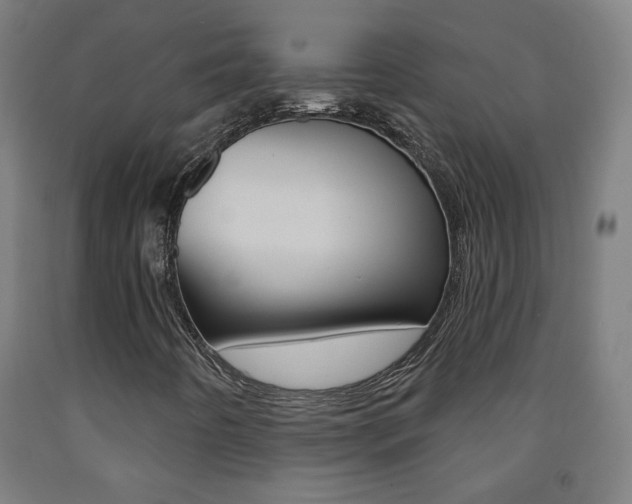 X0000093251442200709261546