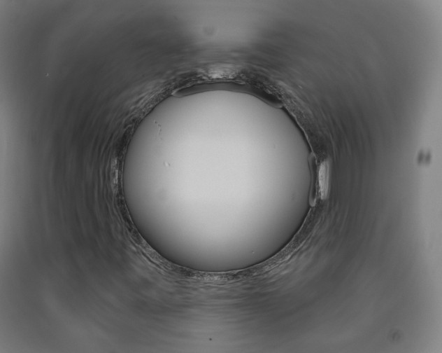 X0000093251443200709261546
