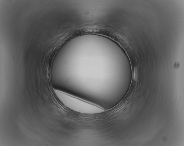 X0000093251444200709261546