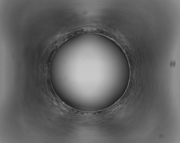 X0000093251445200709261546